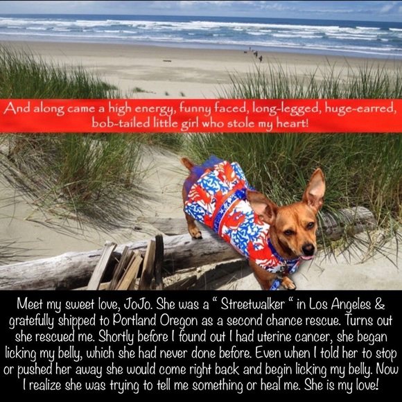 Meet your Posher, Lesli - Picture 8 of 9